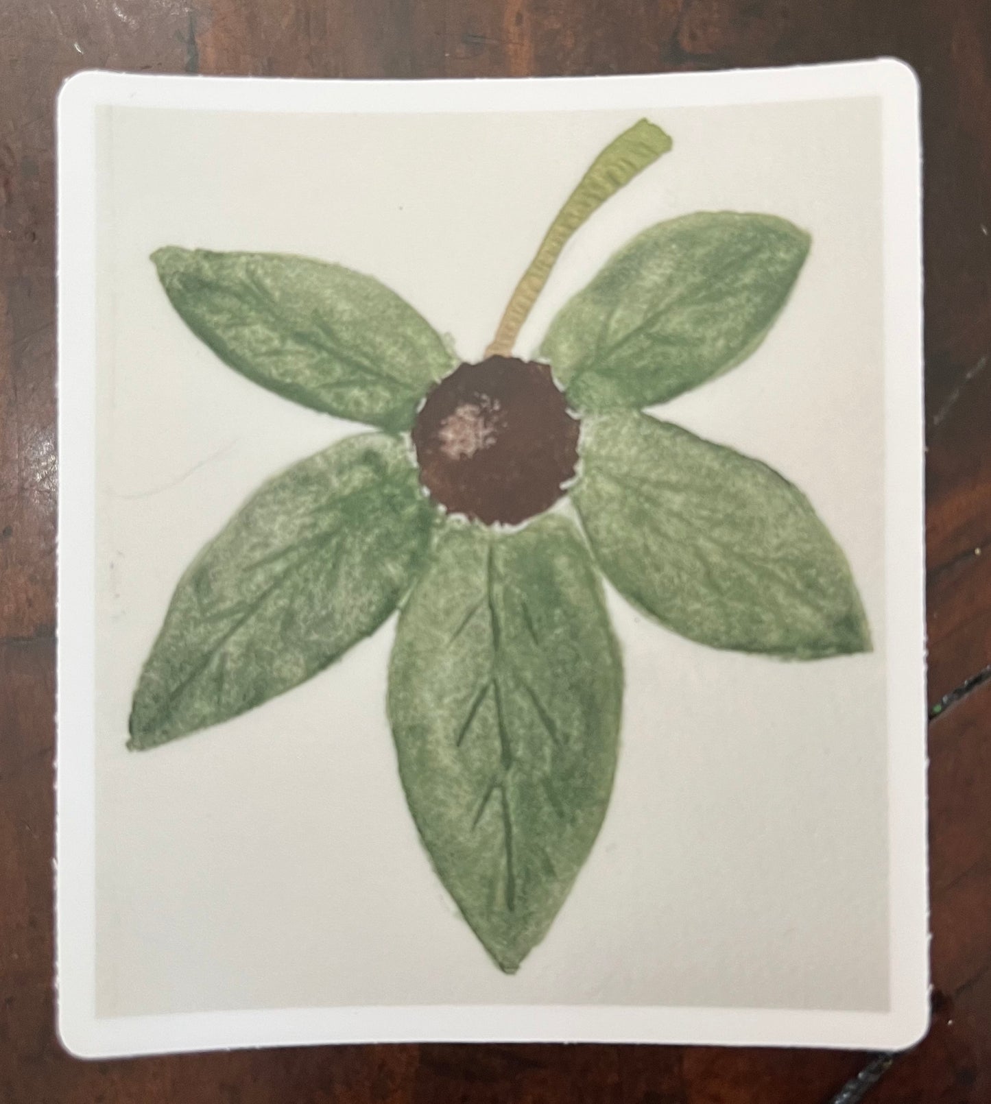 Buckeye Leaf Sticker