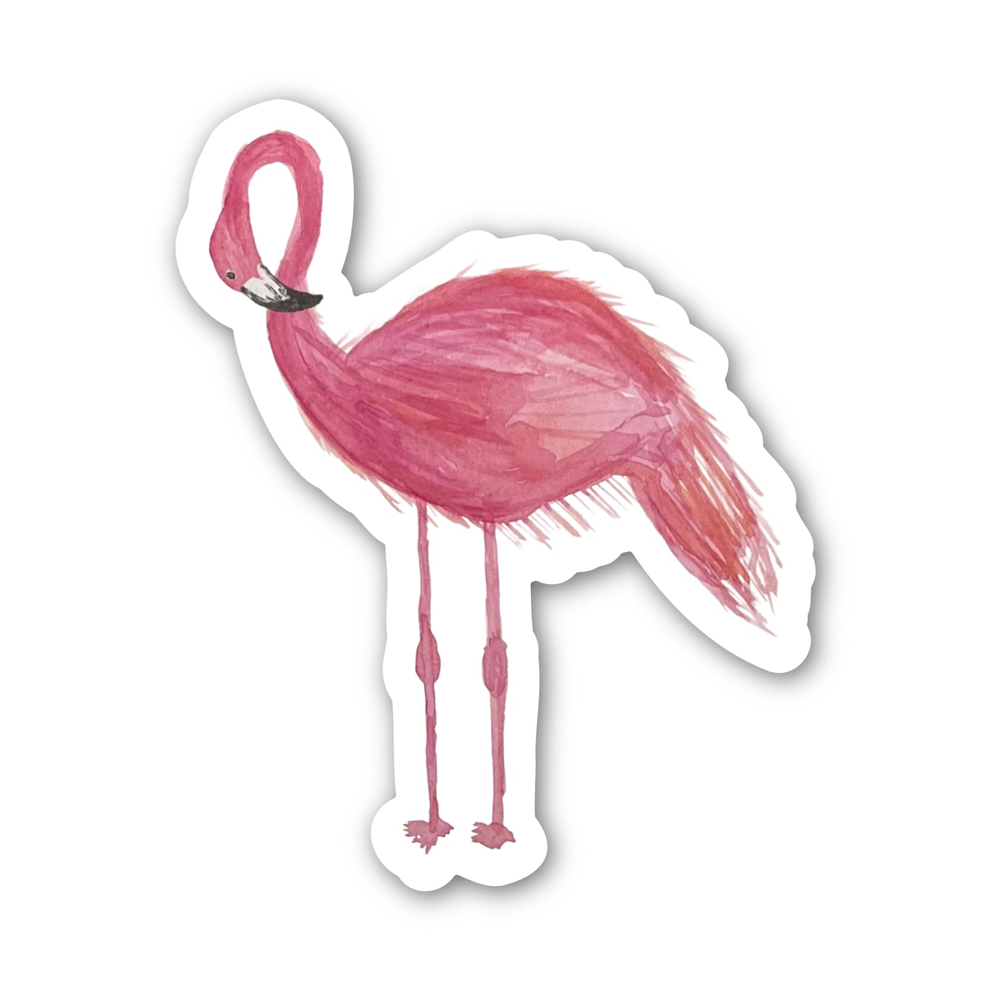 Frankie Flamingo