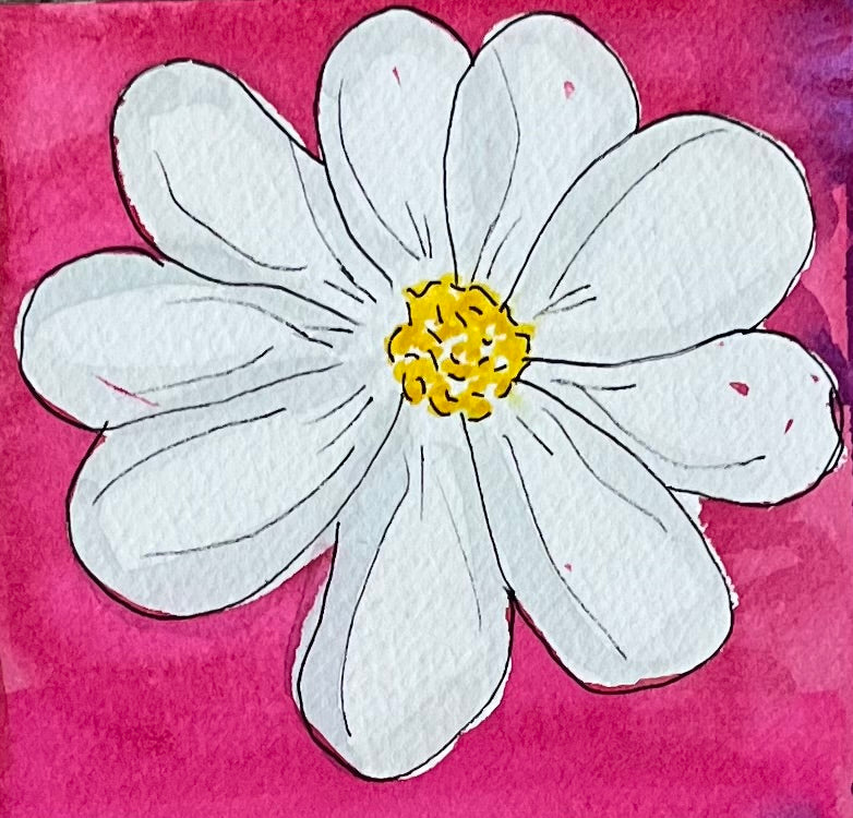 Daisy Pink Sticker