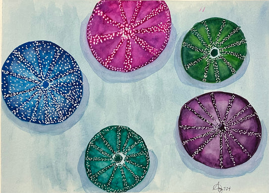 Sea Urchin Print