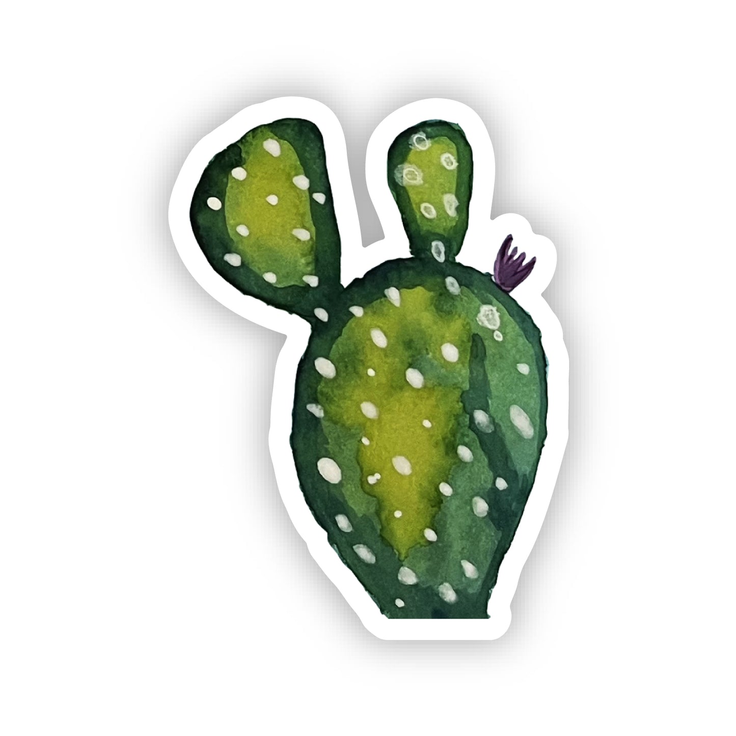 Cactus Sticker Bundle