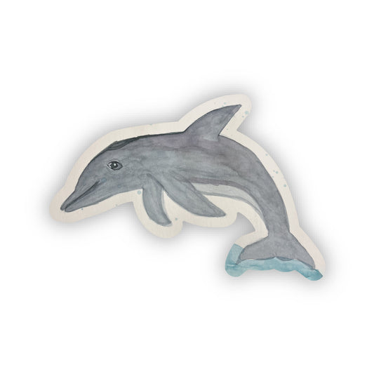 Dewey Dolphin Sticker