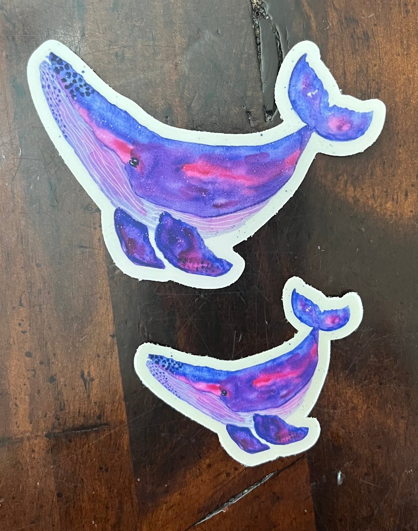 Helen Humpback Whale Sticker