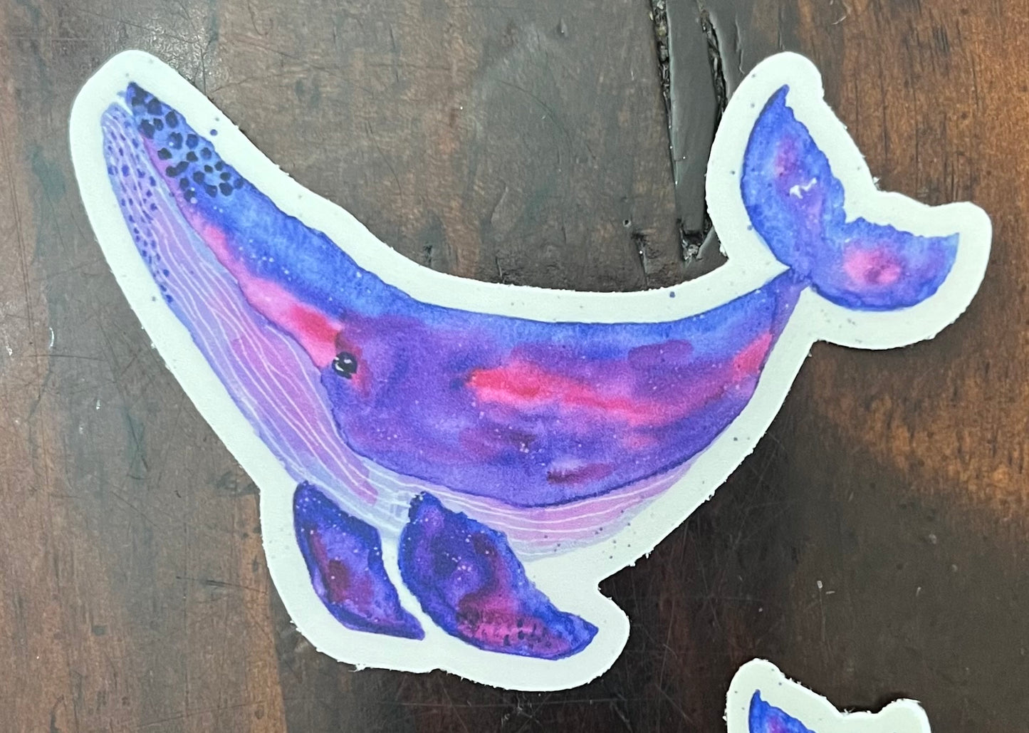 Helen Humpback Whale Sticker