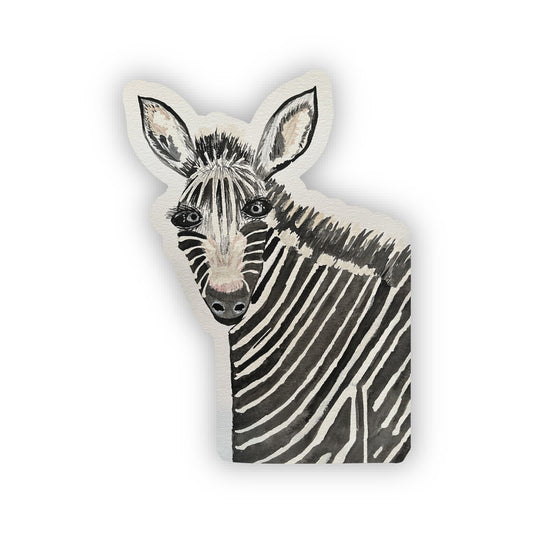 Ziggy Zebra